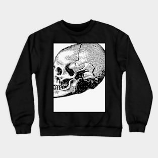 para todos os amantes obscuros Crewneck Sweatshirt